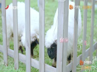再次心动