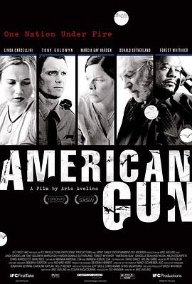 美国武器 American Gun