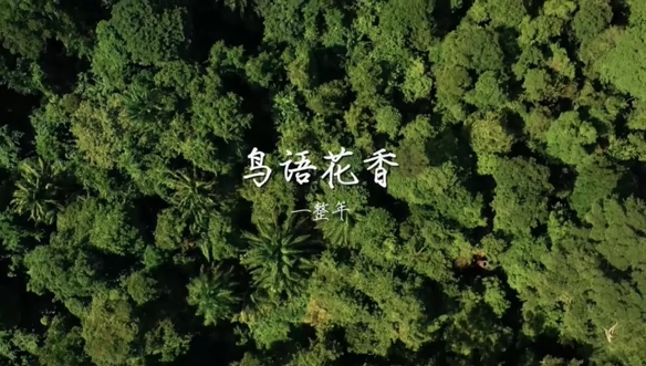 鸟语花香一整年