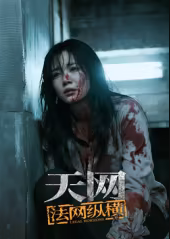 天网：法网纵横