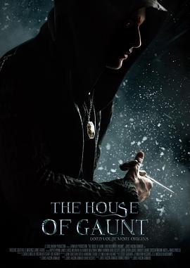 冈特家族：伏地魔起源 The House of Gaunt: Lord Voldemort Origins