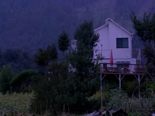 田园日记奶牛农场郑惠铃