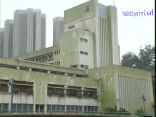 欲火雄风龙凤配