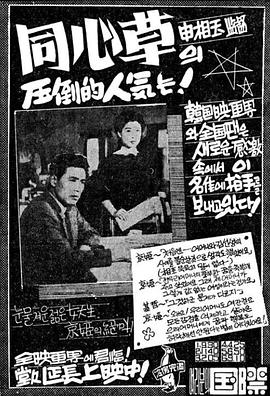 同心草 동심초