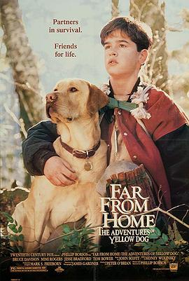 小黄历险记 Far from Home: The Adventures of Yellow Dog