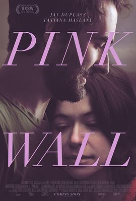 迷粉爱墙 Pink Wall