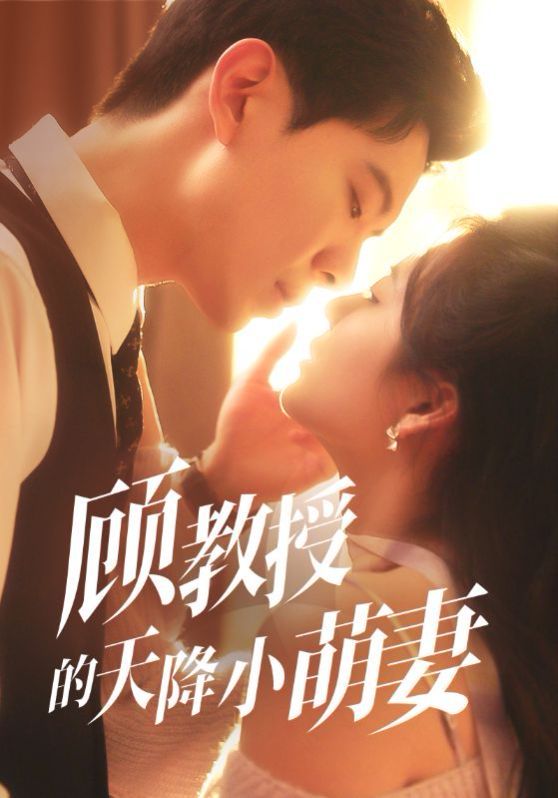 顾教授的天降小萌妻
