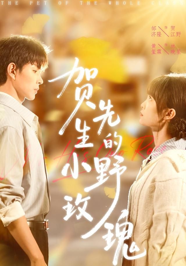 贺先生的小野玫瑰