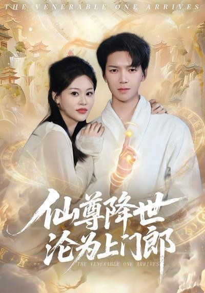 仙尊降世沦为上门郎